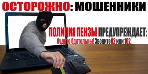 В надежде продать подгузники жительница Никольского района попалась в руки мошенника